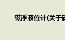 磁浮液位计(关于磁浮液位计的简介)