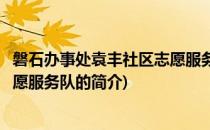 磐石办事处袁丰社区志愿服务队(关于磐石办事处袁丰社区志愿服务队的简介)