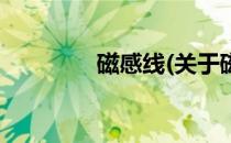 磁感线(关于磁感线的简介)