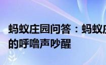 蚂蚁庄园问答：蚂蚁庄园人为什么不会被自己的呼噜声吵醒