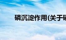 磷沉淀作用(关于磷沉淀作用的简介)