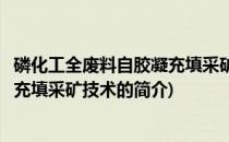 磷化工全废料自胶凝充填采矿技术(关于磷化工全废料自胶凝充填采矿技术的简介)