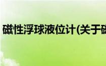 磁性浮球液位计(关于磁性浮球液位计的简介)