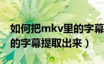 如何把mkv里的字幕提取出来（如何将MKV的字幕提取出来）