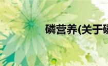 磷营养(关于磷营养的简介)