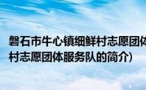 磐石市牛心镇细鲜村志愿团体服务队(关于磐石市牛心镇细鲜村志愿团体服务队的简介)