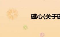 磁心(关于磁心的简介)