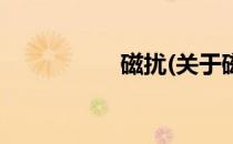 磁扰(关于磁扰的简介)