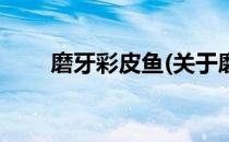 磨牙彩皮鱼(关于磨牙彩皮鱼的简介)