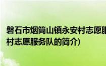 磐石市烟筒山镇永安村志愿服务队(关于磐石市烟筒山镇永安村志愿服务队的简介)