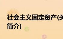 社会主义固定资产(关于社会主义固定资产的简介)