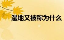 湿地又被称为什么（湿地被称为什么）