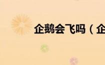企鹅会飞吗（企鹅真的能飞吗）