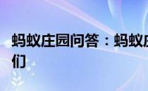 蚂蚁庄园问答：蚂蚁庄园今日答案高考的同学们