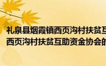 礼泉县烟霞镇西页沟村扶贫互助资金协会(关于礼泉县烟霞镇西页沟村扶贫互助资金协会的简介)