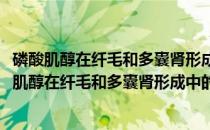 磷酸肌醇在纤毛和多囊肾形成中的作用及机制研究(关于磷酸肌醇在纤毛和多囊肾形成中的作用及机制研究的简介)