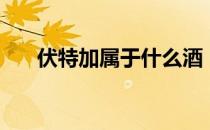 伏特加属于什么酒（伏特加是什么酒）