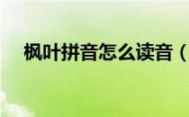 枫叶拼音怎么读音（枫叶拼音怎么拼写）