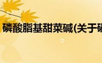 磷酸脂基甜菜碱(关于磷酸脂基甜菜碱的简介)