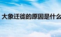 大象迁徙的原因是什么（大象为什么要迁徙）