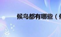 候鸟都有哪些（候鸟有哪些鸟类）