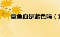 章鱼血是蓝色吗（章鱼血是什么颜色）