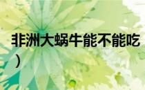 非洲大蜗牛能不能吃（非洲大蜗牛可不可以吃）