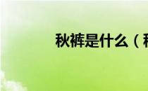 秋裤是什么（秋裤是什么裤）