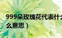 999朵玫瑰花代表什么（999朵玫瑰花代表什么意思）