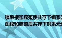 磷酸根和腐殖质共存下锕系元素的吸附/解吸及迁移(关于磷酸根和腐殖质共存下锕系元素的吸附/解吸及迁移的简介)