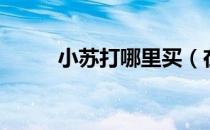 小苏打哪里买（在哪里买小苏打）