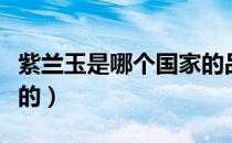 紫兰玉是哪个国家的品牌（紫兰玉是哪个国家的）