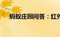 蚂蚁庄园问答：红外线体温计蚂蚁庄园