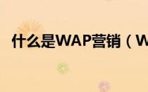 什么是WAP营销（WAP营销是什么意思）