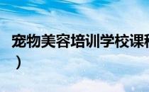宠物美容培训学校课程（宠物美容培训学什么）