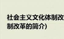 社会主义文化体制改革(关于社会主义文化体制改革的简介)