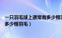 一只羽毛球上通常有多少根羽毛（一只羽毛球上通常应该有多少根羽毛）