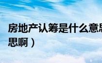 房地产认筹是什么意思（房地产认筹是什么意思啊）