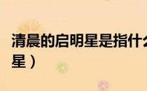 清晨的启明星是指什么（清晨的启明星是什么星）
