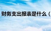 财务支出报表是什么（什么是财务支出报表）