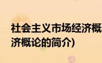 社会主义市场经济概论(关于社会主义市场经济概论的简介)