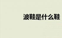 波鞋是什么鞋（波鞋是什么）