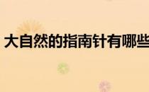 大自然的指南针有哪些（大自然的指南针有）