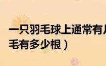 一只羽毛球上通常有几根羽毛（羽毛球上的羽毛有多少根）