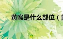 黄喉是什么部位（黄喉是哪里的器官）