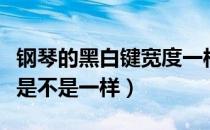 钢琴的黑白键宽度一样吗（钢琴的黑白键宽度是不是一样）