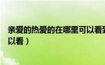 亲爱的热爱的在哪里可以看到（《亲爱的热爱的》在哪里可以看）