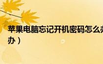 苹果电脑忘记开机密码怎么办（苹果电脑忘记开机密码怎么办）