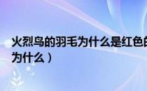 火烈鸟的羽毛为什么是红色的（火烈鸟的羽毛是红色的是因为什么）