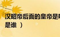 汉昭帝后面的皇帝是哪个（汉昭帝的下个皇帝是谁 ）